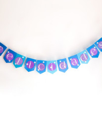 Frozen Banner |Bazarika Tienda Online