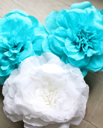 Flores Gigantes |Bazarika Tienda Online